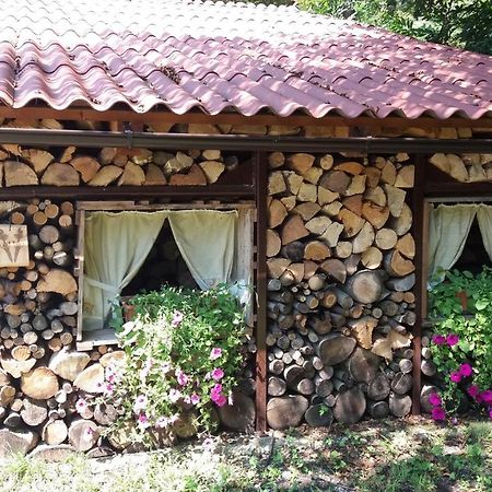 Appartment Bezenica Dobrova Esterno foto