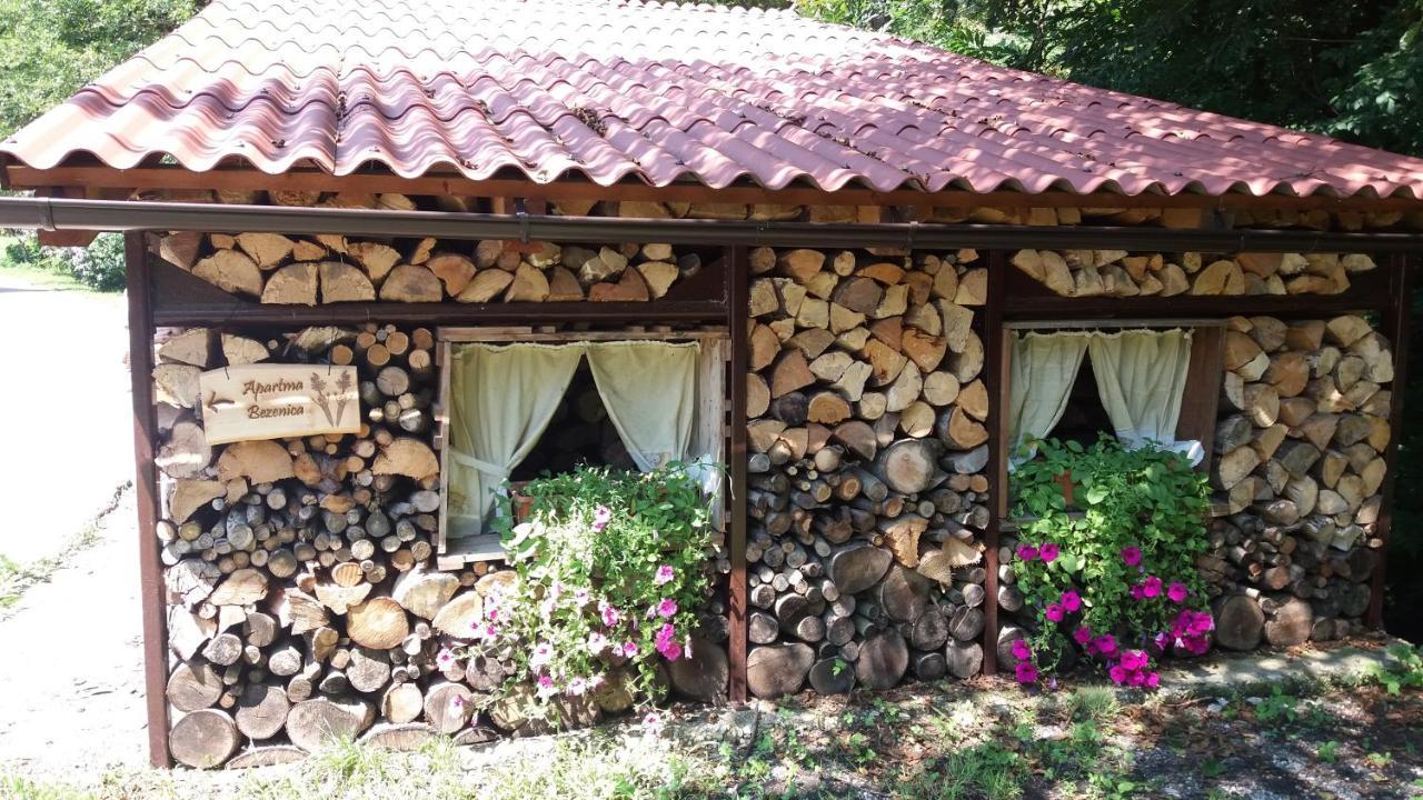Appartment Bezenica Dobrova Esterno foto